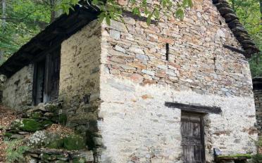 Row house 4 rooms - image - 1