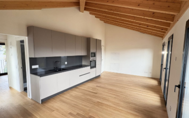 Attic flat 2.5 rooms - image - 3