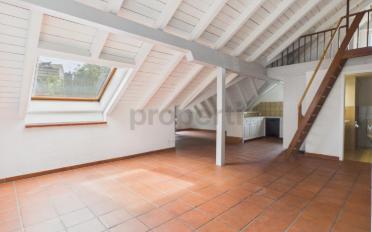 Dachwohnung 4.5 Zimmer - image - 2