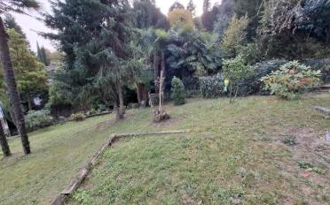 Building land 12 rooms - image - 6