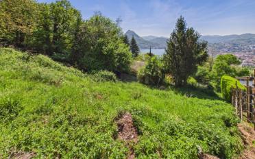Building land - image - 10