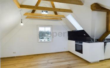 Wohnung 1.5 Zimmer - image - 1