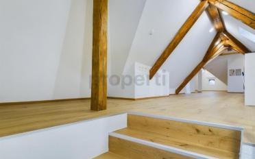 Wohnung 1.5 Zimmer - image - 7