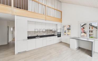 Duplex 4.5 pièces - image - 4
