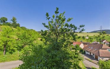 Einfamilienhaus 5.5 Zimmer - image - 6
