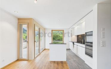 Duplex 5.5 rooms - image - 2
