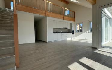 Duplex 4.5 rooms - image - 4