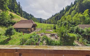Einfamilienhaus 13.5 Zimmer - image - 12