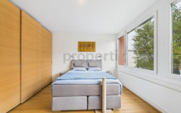 Attikawohnung 4.5 Zimmer - image - 5
