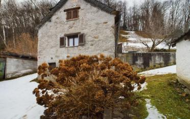 Building land - image - 5