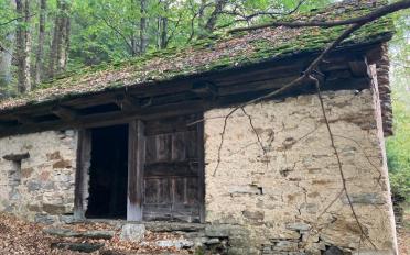 Maison contiguë 4 pièces - image - 4