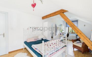Bauland 10 Zimmer - image - 4