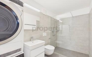 Attic flat 4.5 rooms - image - 8