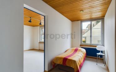 Duplex 5.5 pièces - image - 9