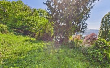 Villa 9 Zimmer - image - 12