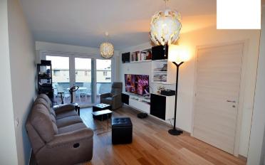 Wohnung 3.5 Zimmer - image - 2