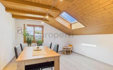 Roof flat 3.5 rooms - image - 2