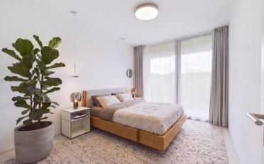 Wohnung 3.5 Zimmer - image - 2