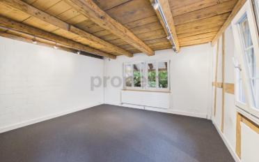 Maison 11.5 pièces - image - 10