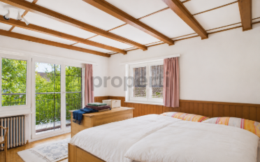 Single house 6.5 rooms - image - 6
