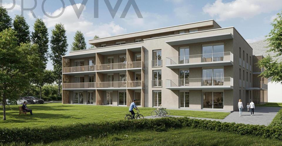 Visp
