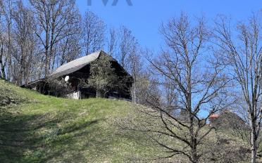 Single house 3.5 rooms - image - 1