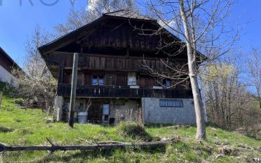 Single house 3.5 rooms - image - 3