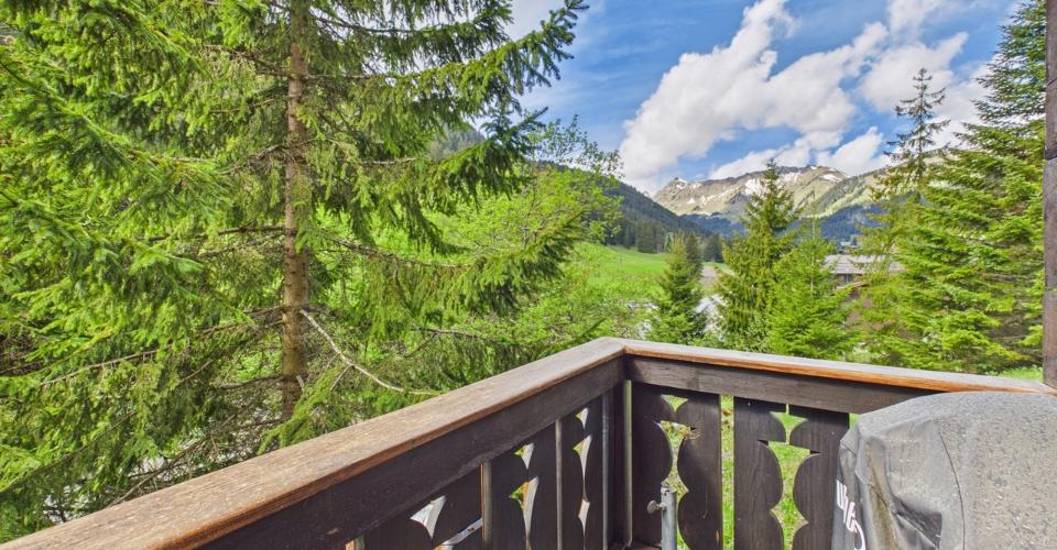 Morgins