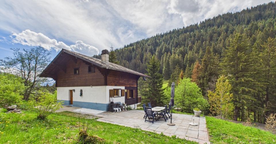 Morgins