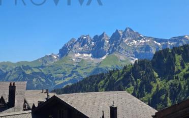 Chalet 10.5 Zimmer - image - 2