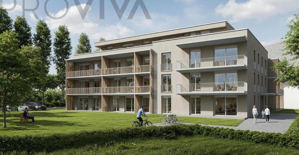 Visp