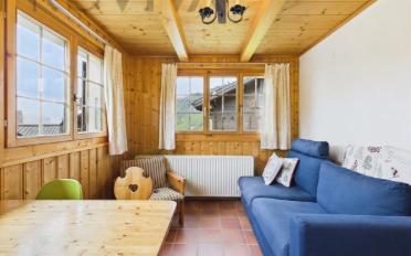 Chalet 10.5 rooms - image - 4