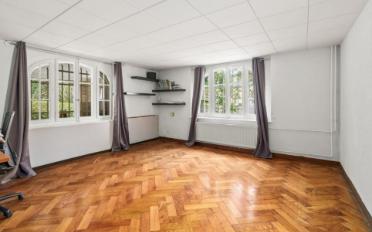 Villa 11 Zimmer - image - 4
