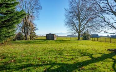 Einfamilienhaus 10 Zimmer - image - 10