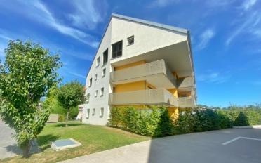 Wohnung 3.5 Zimmer - image - 2