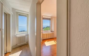 Single house 11 rooms - image - 3