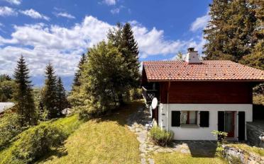 Chalet 5 Zimmer - image - 1