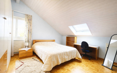 Villa 6.5 Zimmer - image - 10