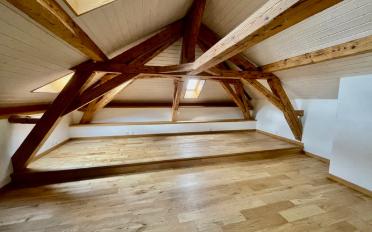 Bifamiliar house 11 rooms - image - 2