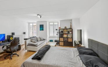 Gemischt genutzte Immobilie 9 Zimmer - image - 13