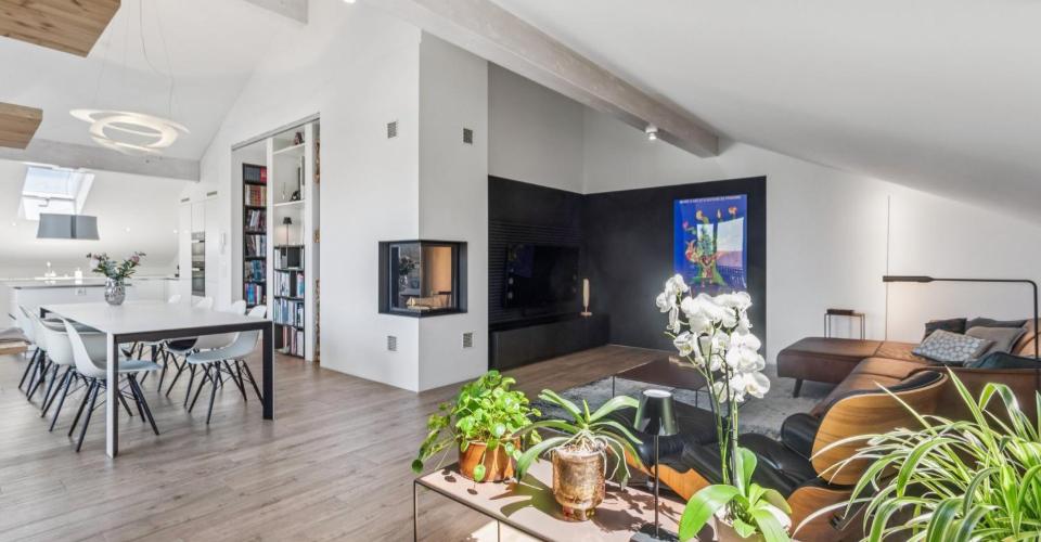 Magnifique appartement dans les combles