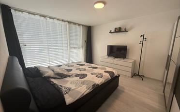 Villa 4.5 pièces - image - 12