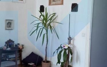 Wohnung 4 Zimmer - image - 2