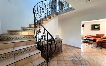 Single house 9.5 rooms - image - 3