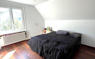 Single house 9.5 rooms - image - 11