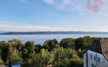 Appartement 4.5 pièces - image - 8