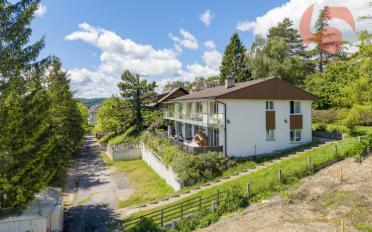 Villa 10 Zimmer - image - 3