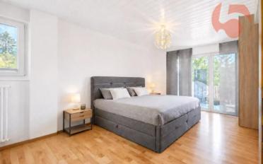 Villa 10 Zimmer - image - 9