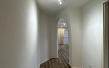 Wohnung 2.5 Zimmer - image - 3