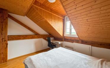 Wohnung 2.5 Zimmer - image - 5